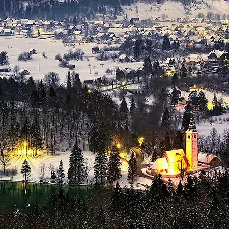 Trisa Bohinj