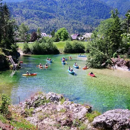 Апартаменты Trisa Бохинь