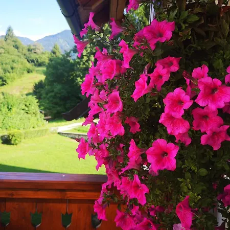 Апартаменты Trisa