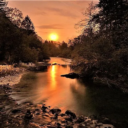 Trisa * Бохинь