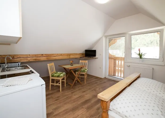 Trisa 公寓 博希尼