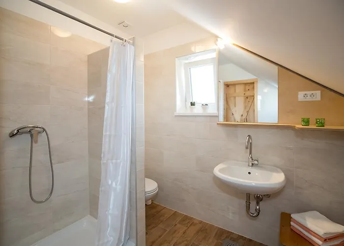 Trisa 公寓 博希尼