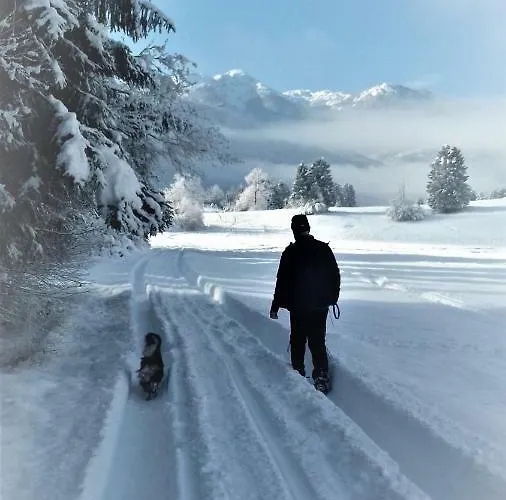 Trisa Διαμέρισμα Bohinj